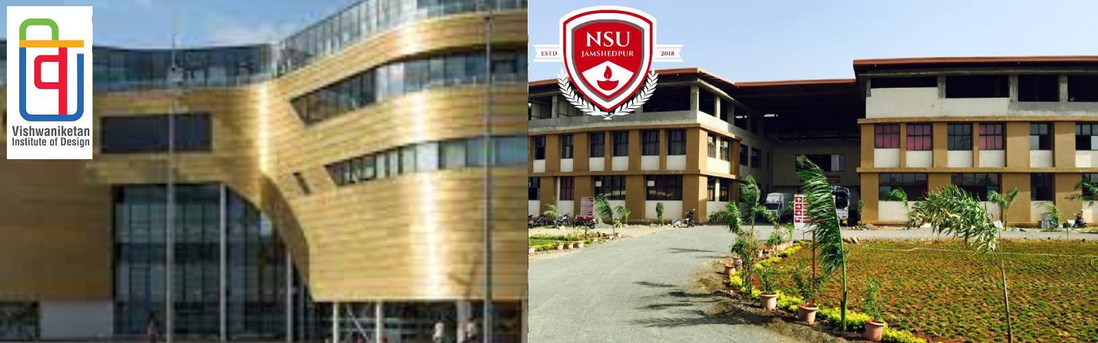 NSU university