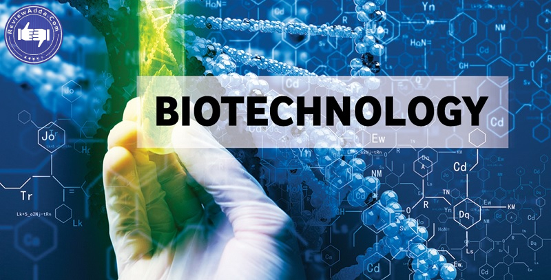 Ngành Biotechnology là gì?