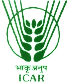 national research centre on plant biotechnology hisar